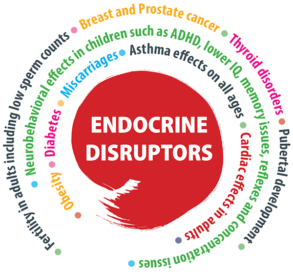 Endocrine circle colour